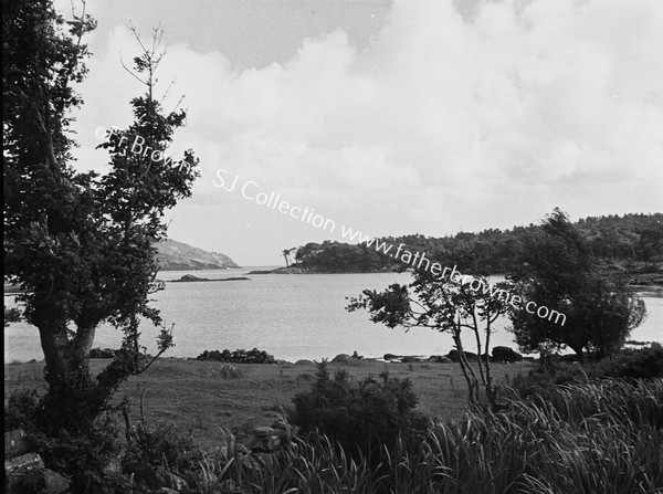 DISTANT VIEW OF DUNBOY CASTLE